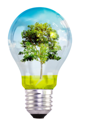 lightbulb